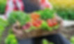 YAH Fresh Vegetable Luncheon