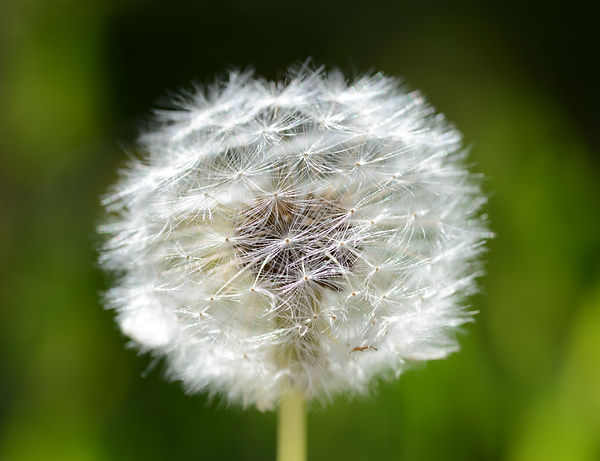 DSC_7378_edited.jpg