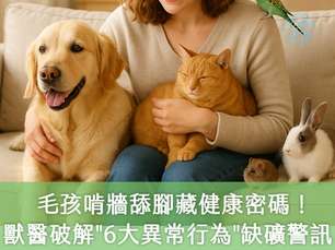 毛孩啃牆、舔腳不只是壞習慣!專家揭密:毛孩缺『礦』的6大隱藏警訊