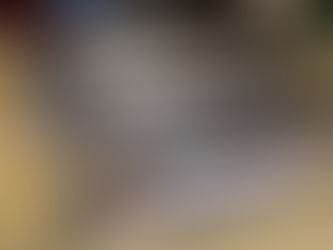 今シーズン最強のイワシ登場!