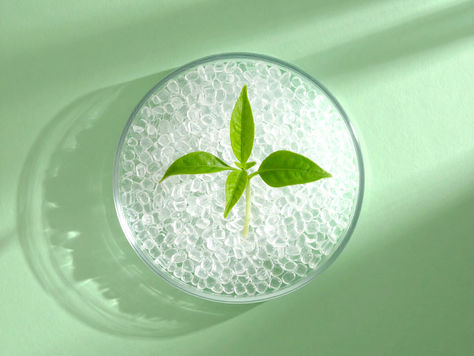 VTT spin-outs signal fresh momentum in Finland’s bioeconomy