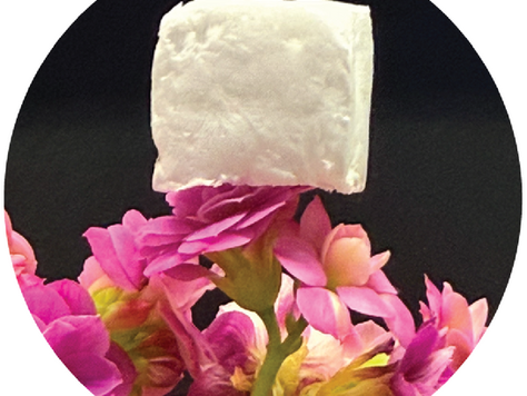 Nanocellulose-silica nanoparticles Pickering foams