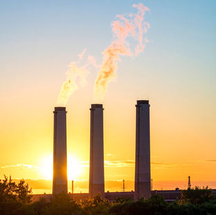 Science panels’ report: Finland can simultaneously boost added value and cut CO₂ emissions through smarter forest use