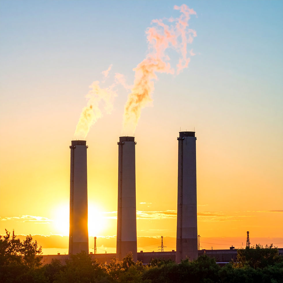 Science panels’ report: Finland can simultaneously boost added value and cut CO₂ emissions through smarter forest use