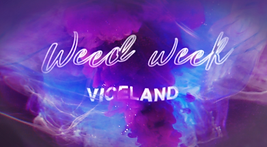 Screen Shot 2019-11-06 at 9.41.46 PM.png