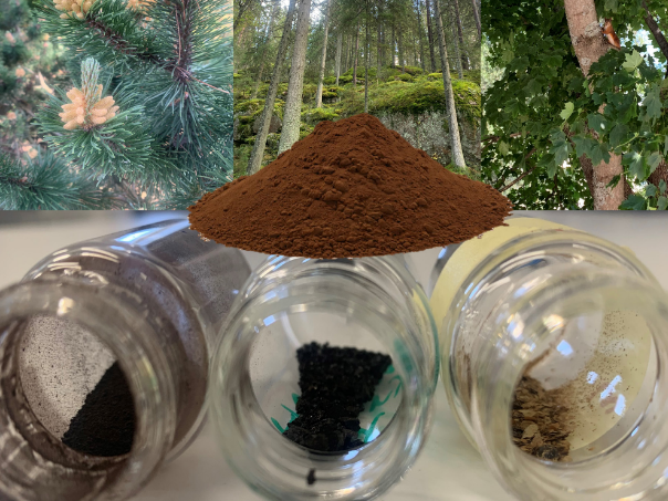 Daryna Diment: Engineering of Lignin and Lignin-Carbohydrate Complexes for High-Value Applications