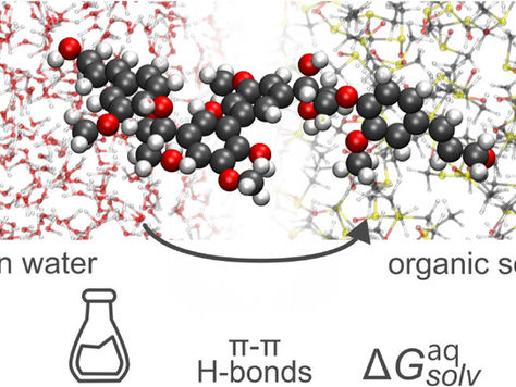 Thermodynamic and Atomistic Insights into Lignin Solubility from Experimentally Validated Molecular Dynamics Simulations