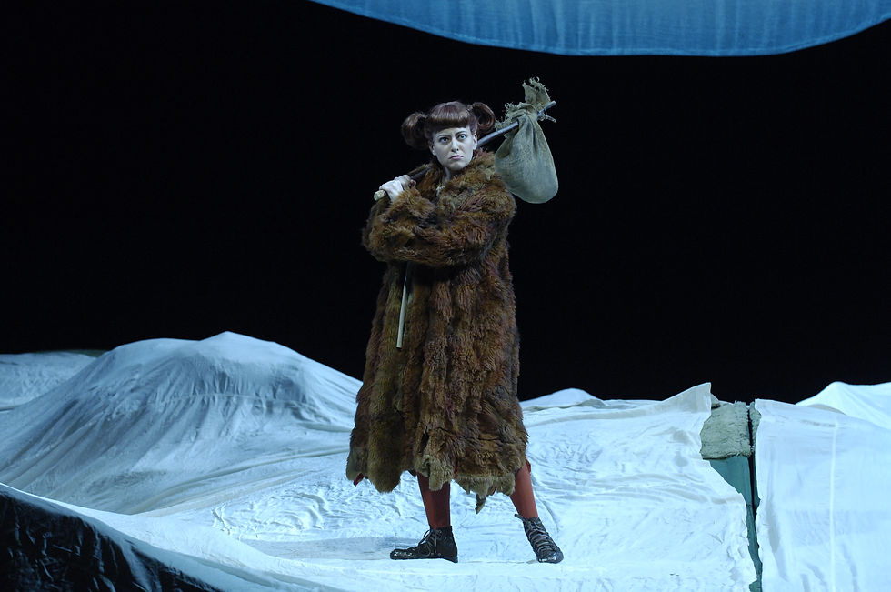 The Cunning Little Vixen