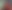 C2044A23-3C8E-4621-AE51-0A533C9D5002_edited.jpg