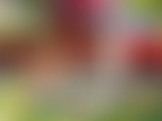 “I’m Happy When…”: Finding Joy in Simple Things