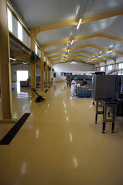 Inica Egg Factory (1).JPG