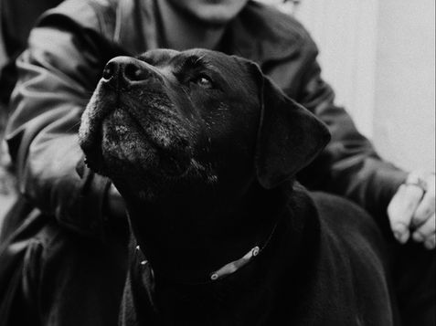 still zed_1.1.21.jpg