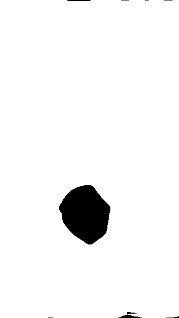 tiktokcondor-unscreen.gif