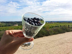 Русский гид в Бордо и его туры