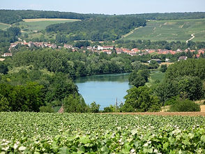 Champagne terroir vallée de la marne.jpe