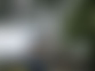 世界平和への祈り　　　　　　　～広島平和記念資料館～