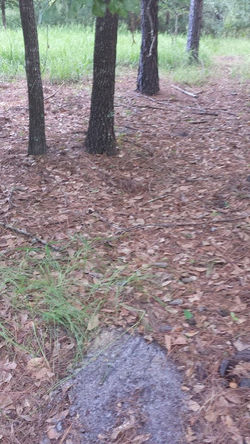 10435592_426933160779539_8350684253878749566_n