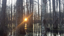 12642613_636623836477136_5855854891244616686_n