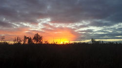 12313566_615914418548078_6437765854024761639_n