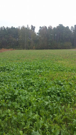 250222_468200883319433_324848453534251117_n