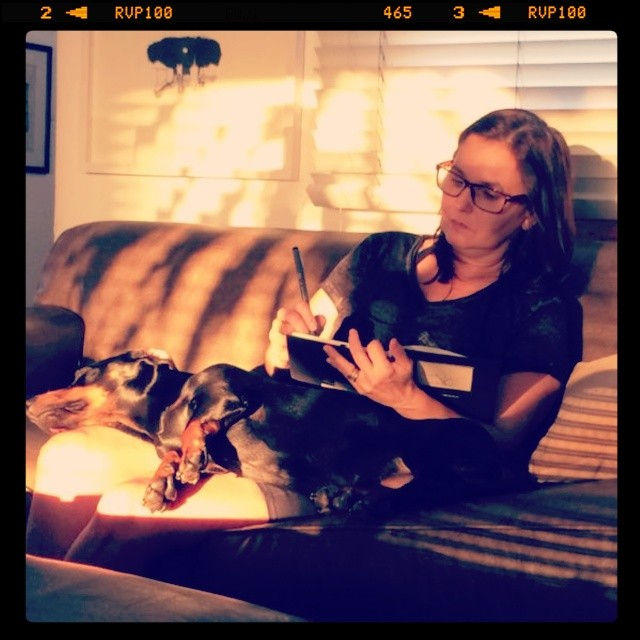 Instagram - Meu cão é uma MESA ! XD