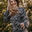 Autorenbild: Anna Bernlochner