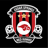 CS Soccer.png