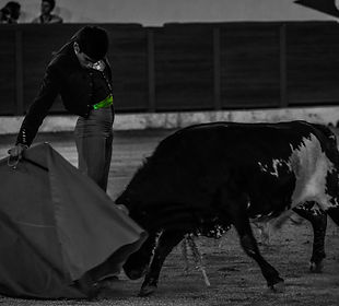 DSC_0017_edited.jpg