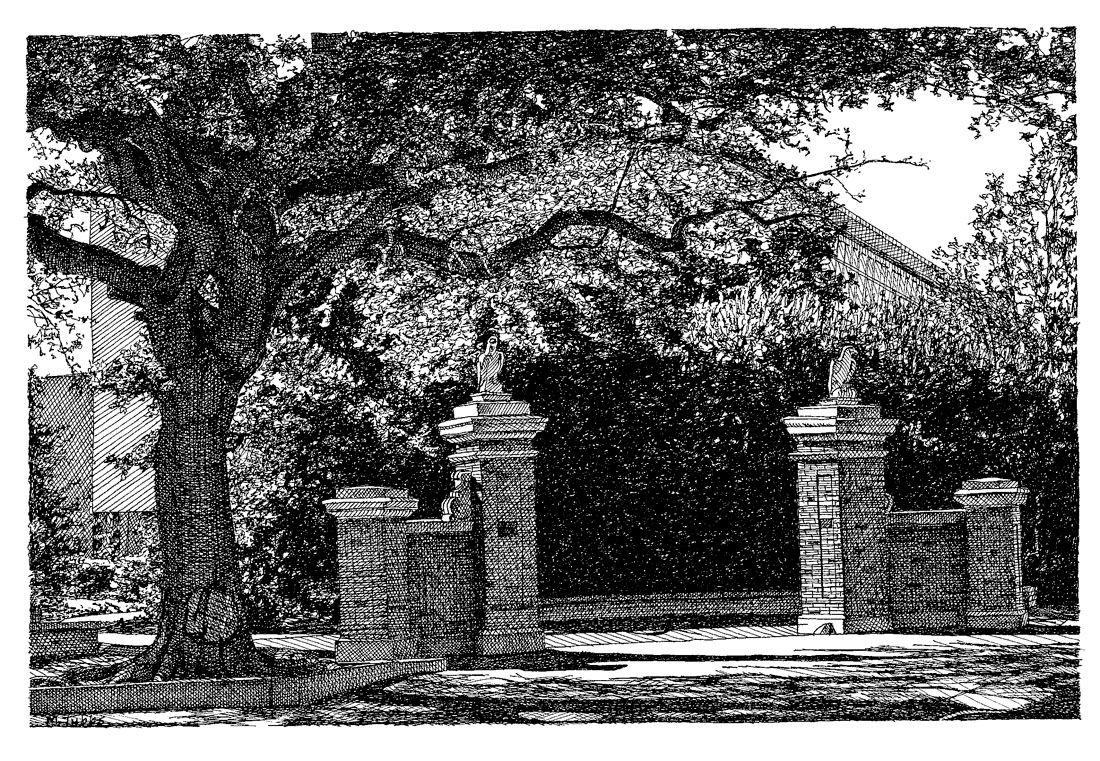 Auburn Oak Blank Notecards