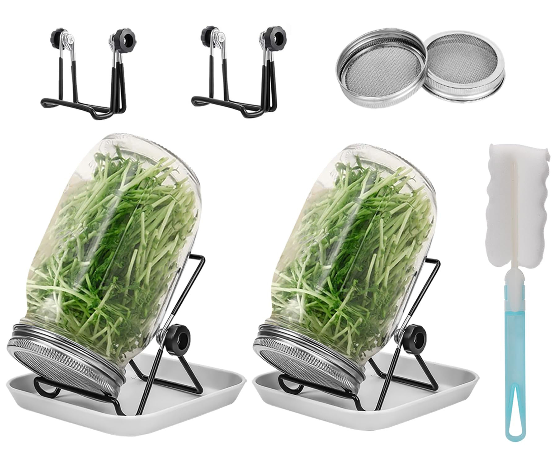 Lulonpon 2pcs Sprouts Growing Jar Kit Wide Mouth Quart Mason Jars with Stainless