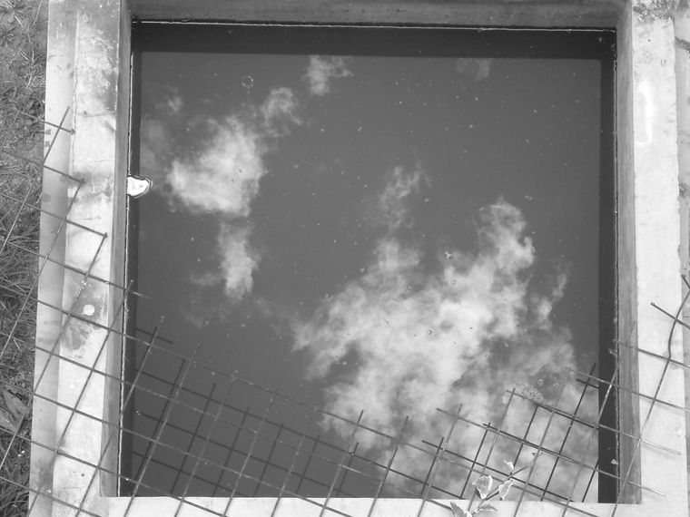 Lunes 9 de Febrero 11:00 am PUCE