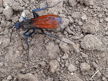 2014-09-17 13.14_edited.jpg