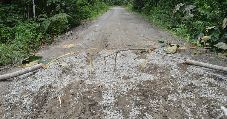 registro fotografico de la accion