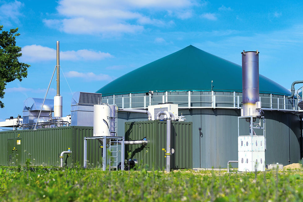 Erzeugung von CO2-freiem Strom aus organischen Materialien in einer Biomasse-Anlage