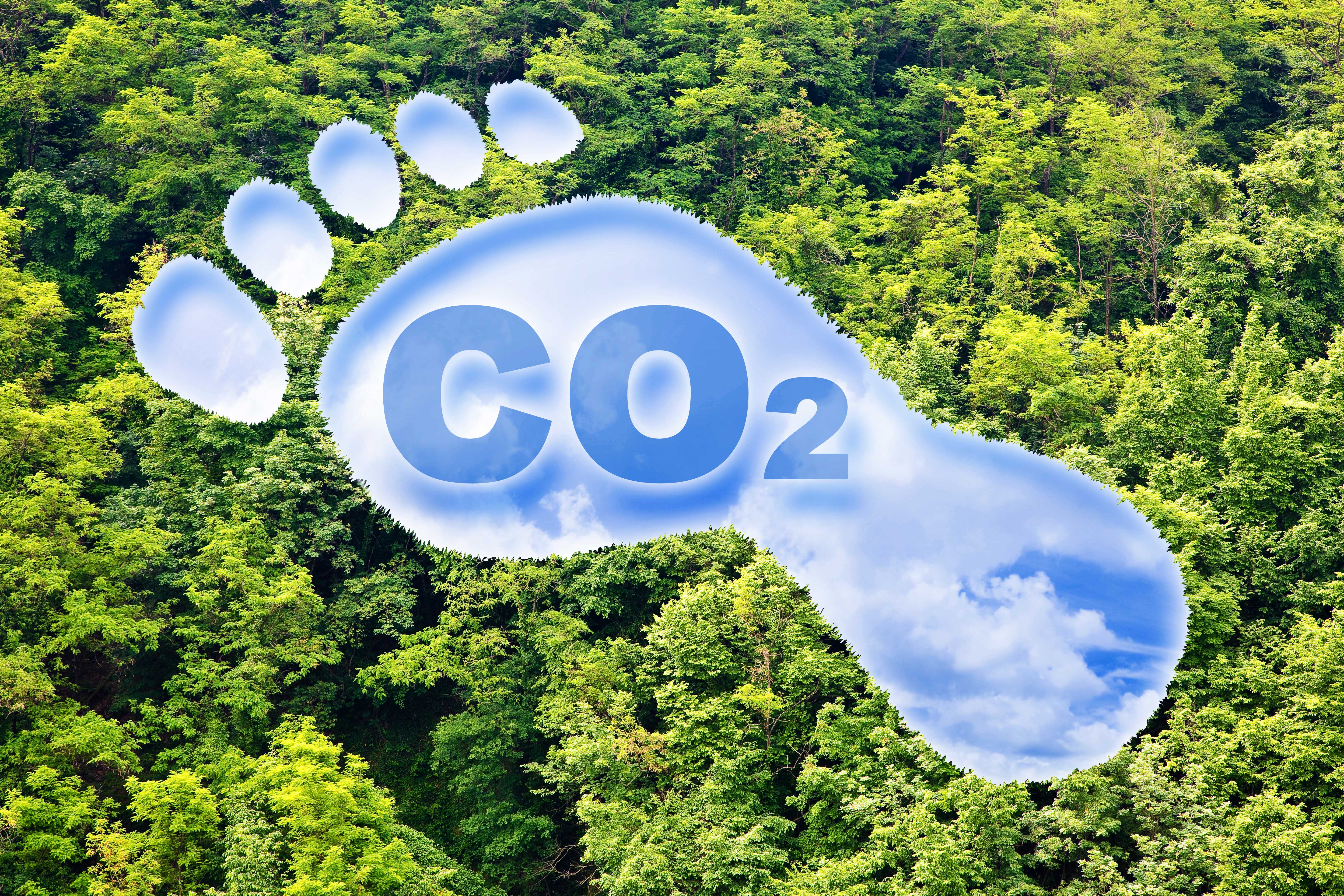 Nutzen_CarbonFootprint_Bild28_AdobeStock_454071456.jpg
