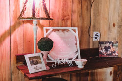 Moss Lamp on Shelf.jpeg