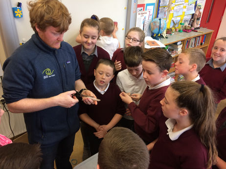Something Fishy going on! Thanks to Pádraic from the Explorers Programme for coming to our sc