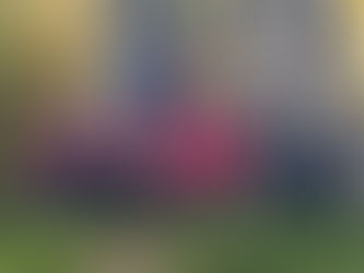 Senior Room visit Belleek Woods