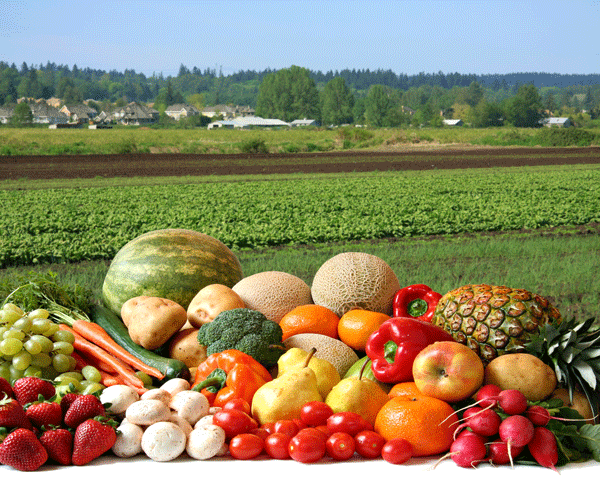 La ausencia de estándares que define a los colores naturales