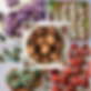 IG Square Posts (1).png
