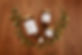 DSC_9839.jpeg