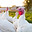 www.boltonfarmmarket.com