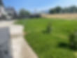 IMG_0305.jpeg