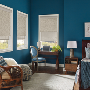 Graber-13702-47807-Solar-Roller-Shades-RS17-V1.png