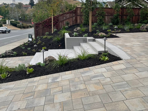 Concrete steps leading through a planted front yard in Lafayette