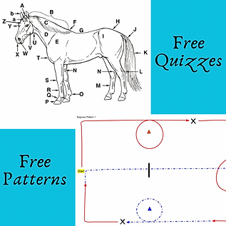 Free Equine Patterns/Free Equine Quizzes