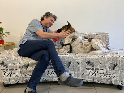 קליניקה ווטרינרית | ד״ר קליין - טיפול בחיות מחמד ובחיות אקזוטיות