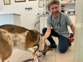 מרפאה וטרינרית | ד״ר קליין - טיפול בחיות מחמד ובחיות אקזוטיות