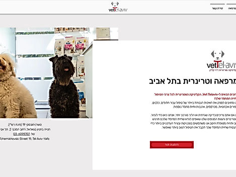 וטרינר תל אביב - עמוד נחיתה