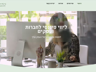 ליווי פיננסי